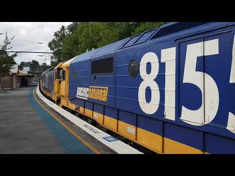 Quadruple 81 class through Wentworth Falls