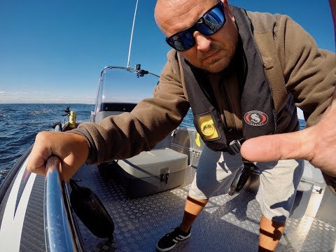 Faster 635 CC - Waves