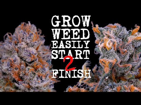 , title : 'EASIEST WAY TO GROW WEED FROM START TO FINISH (FULLY EXPLAINED) ORGANIC SUPERCOCO | JUST ADD WATER!!'