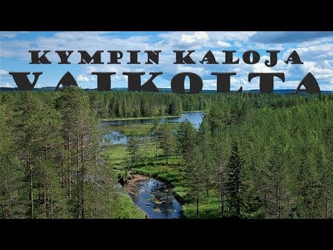 Kympin kaloja Vaikkojoelta | Hauen kalastusta 2019