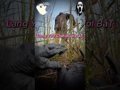 Lang Yêu Rình Rập Mồi #viral #reviewvui #trending #shorts  #giaitri #funny #vuinhon #haihuoc