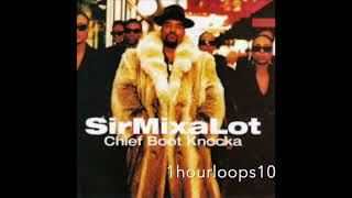 Ride | Sir Mix-A-Lot | 1 Hour Loop