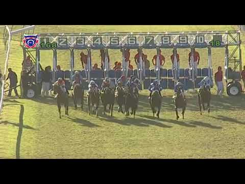 RM16 R8 - Spin A Coin(K.Steyn)