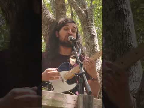 Musta Been A Ghost (treehouse session) #proximaparada