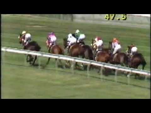 1991 Alister Clark Stakes - Durbridge