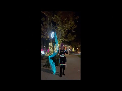 Princess aka LazerWoman® With Her Lazer Whip!