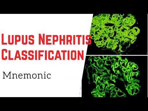 Lupus Nephritis Classes: A Mnemonic