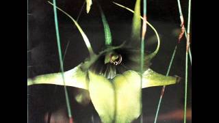 Psychic TV - Thee Full Pack (For Bachir Attar)