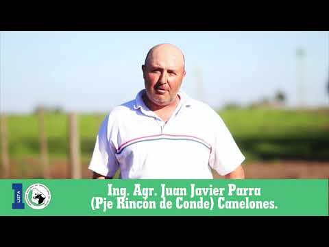 LISTA 10 Ing  Agr  Juan Javier Parra (Pje Rincón de Conde) Canelones.
