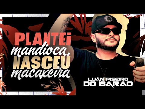 PLANTEI MANDIOCA NASCEU MACAXEIRA - Luan Piseiro Do Barão 