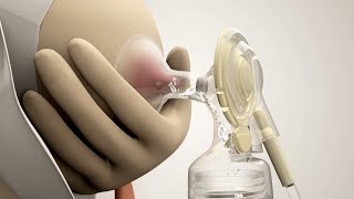 Medela 2-Phase Expression (English)