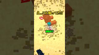 え...これ知ってましたか...？【マイクラ】【マイクラ】