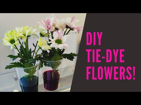 DIY TIE-DYE FLOWERS! Easy at-home science experiment