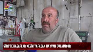 SİİRT'TE KASAPLAR KESİM YAPACAK HAYVAN BULAMIYOR
