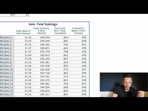 Interne Reliabilität (Cronbachs Alpha) auf SPSS (2026)