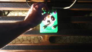 Fuzzrocious AFTERLIFE - guitar