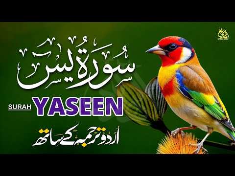 Surah Yaseen Urdu Tarjuma ke Sath | Peaceful Recitation | Episode - 588