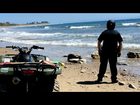 trailer
