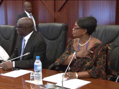 Jonathan Receives Minister of Lake Chad Region item-thumbnail