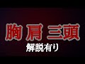 『木曜日』胸肩三頭