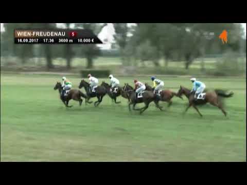 TURF FINCH (GER) - Wien Freudenau 16.09.2017