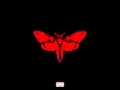 13 Lil Wayne God Bless Amerika I Am Not A Human Being 2