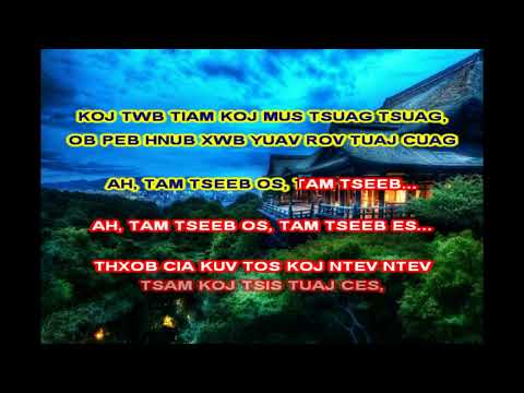 DEEDA THAO  - TAM TSEEB NIAG TSOV TOM (KARAOKE)