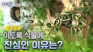 [아주 사적인 반려식물 안내서] 집에서 기르고, 폐허에서 구하고? 식물과 함께 사는 사람들 이야기