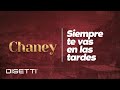 Siempre Te Vas En Las Tardes - Conjunto Chaney & Eddie Santiago | Salsa Romántica