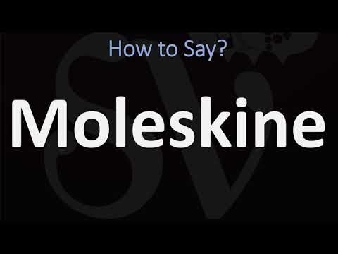 How to Pronounce Moleskine? (CORRECTLY)