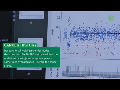 The evolutionary history of cancer