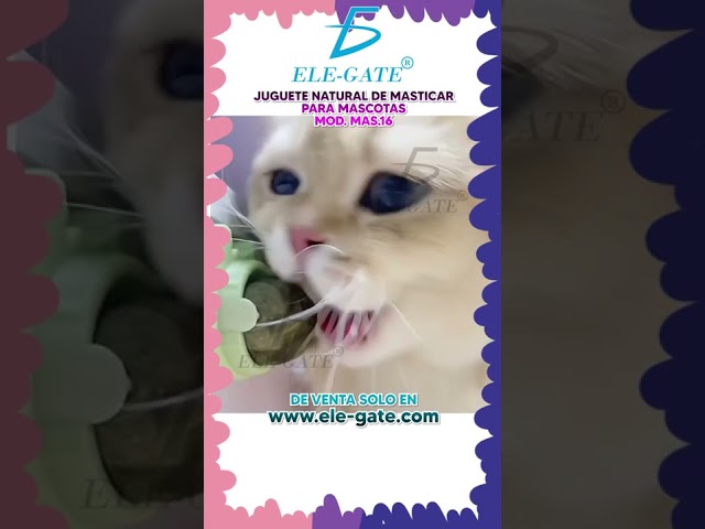 Vídeo relacionado con 9 Piezas Pequeños Animales Bola para Masticar, Juguetes para Masticar Conejos,Mascotas Bolas de Limpieza de Dientes,Masticación Mascota Juguete para Conejos Enanos, Hámster, Ratas, Chinchillas