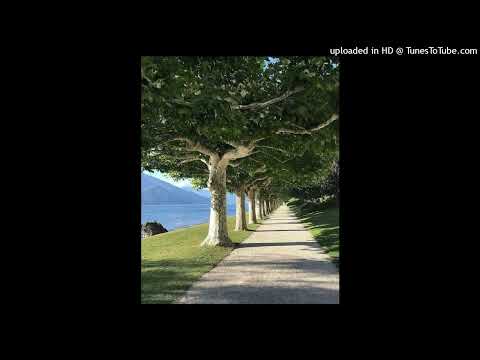 morten x ziry 528hz harmony