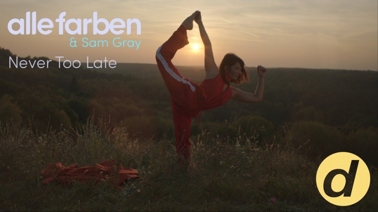Alle Farben & Sam Gray — Never Too Late
