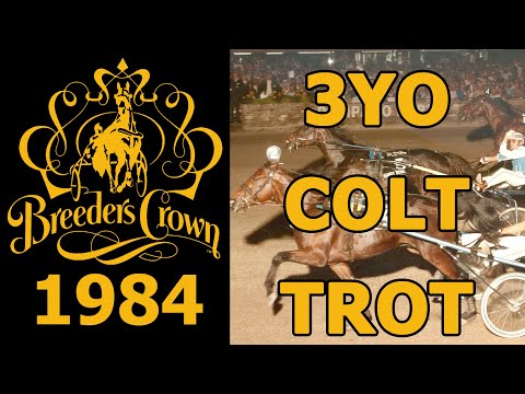 1984 Breeders Crown - Baltic Speed- 3YO Colt Trot