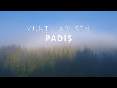 Romanian Mountains - Padis Iunie 2021