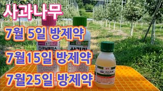 사과나무 7월 방제약/7월5일 방제약/7월15일 방제약/7월25일 방제약