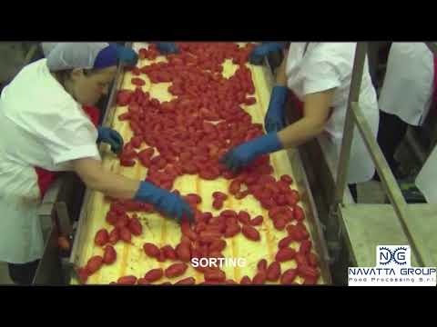 NG Peeled tomato - rotary can sterilizer