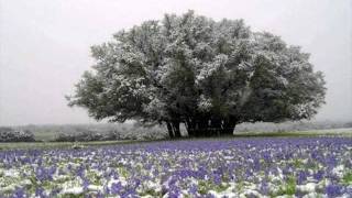 Mystery Jets - Show Me The Light (Anötherevøl Remix)