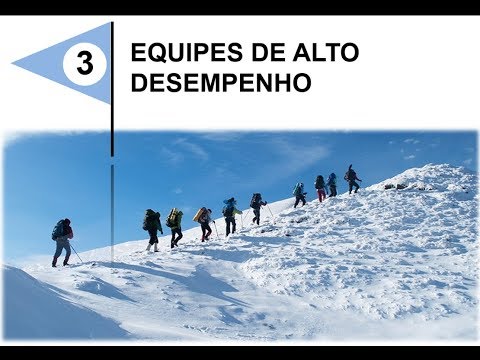 One - High Performance Teams - Equipes de Alto Desempenho