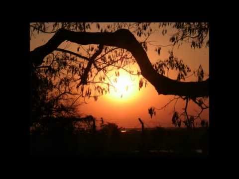 David Guetta vs Ummet Ozcan She Me Smash Down! (O'Connor D. Mat Mashup)