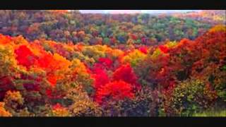 Leona Williams   My heart has finally said goodbye