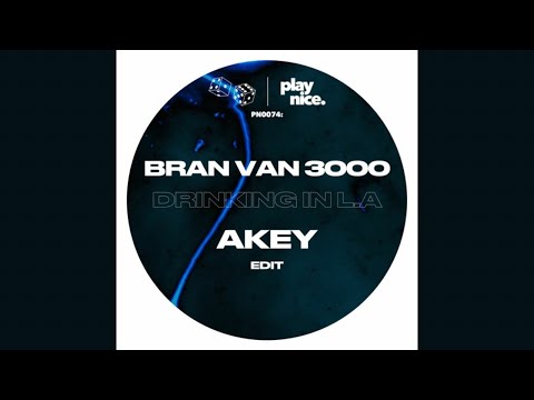 Bran Van 3000 - Drinking in L.A. (Akey Edit)