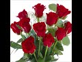 Eleven Roses    Hank Williams Jr