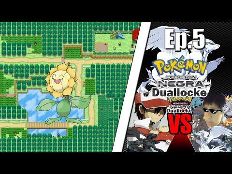 Pokemon Negro Duallocke Ep.5 - ¡encontre un girasol!