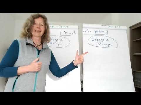 Heilprakitkerschule Bodammer: "Einführung Klinische Psychiatrie"