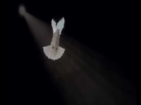 Elke Ngantung "Bawaku Terbang"