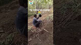 Download lagu malang nyah mamang ini yg sabar ya mp3 Download lagu malang nyah mamang ini yg sabar ya mp3