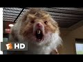 Nutty Professor 2 The Klumps 8 9 Movie CLIP Giant Hamster Attack 2000 HD