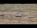 Famous Graves: The Grave of Hound Dog Taylor, Blues Musician